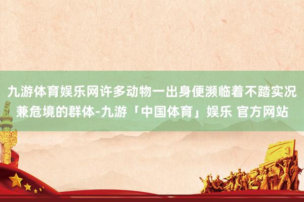 九游体育娱乐网许多动物一出身便濒临着不踏实况兼危境的群体-九游「中国体育」娱乐 官方网站