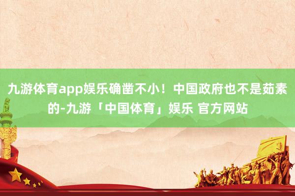 九游体育app娱乐确凿不小！中国政府也不是茹素的-九游「中国体育」娱乐 官方网站