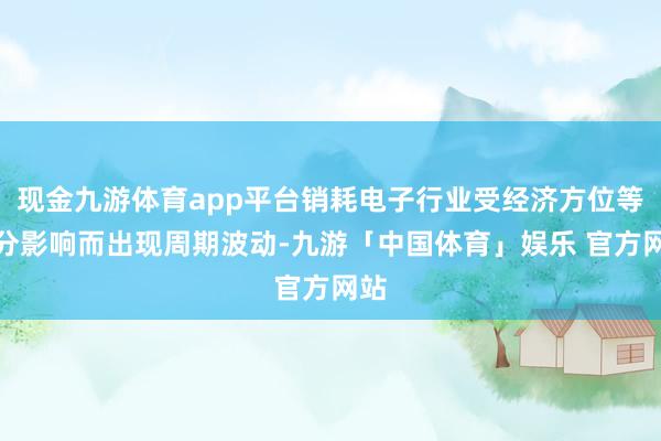 现金九游体育app平台销耗电子行业受经济方位等身分影响而出现周期波动-九游「中国体育」娱乐 官方网站